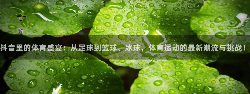 k1体育网站登录官网：抖音里的体育盛宴：从足球到篮球、冰球，体育运动的最新潮流与挑战！