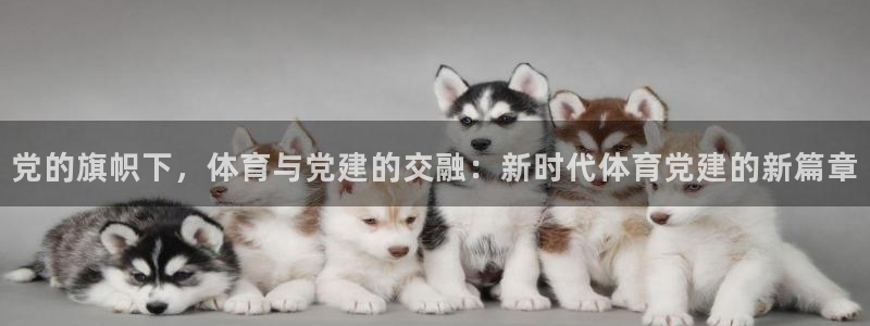 k1体育十年登录入口：党的旗帜下，体育与党建的交融：新时代体育党建的新篇章