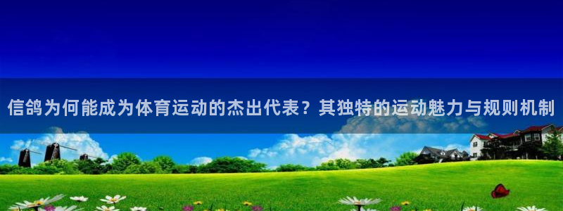 k1体育平台3915：信鸽为何能成为体育运动的杰出代表？其独特的运动魅力与规则机制