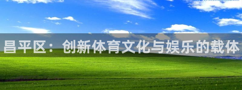 k1体育平台下载：昌平区：创新体育文化与娱乐的载体