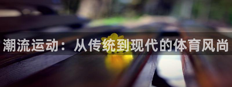k1体育十年品牌官网：潮流运动：从传统到现代的体育风尚
