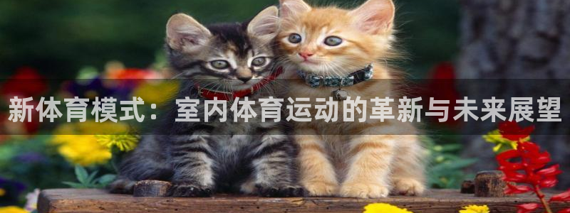 k1体育网址是多少：新体育模式：室内体育运动的革新与未来展望