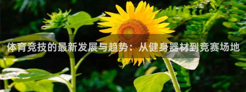 k1体育娱乐：体育竞技的最新发展与趋势：从健身器材到竞赛场地