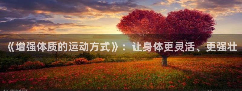k1体育下载链接：《增强体质的运动方式》：让身体更灵活、更强壮